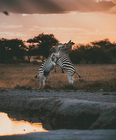 Photography Botswana