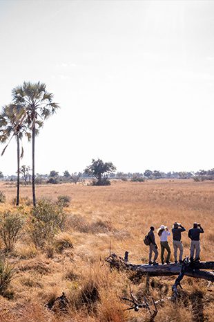 Walking Safaris Botswana Landscape