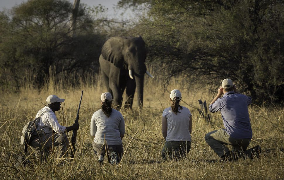 Walking Safaris Botswana