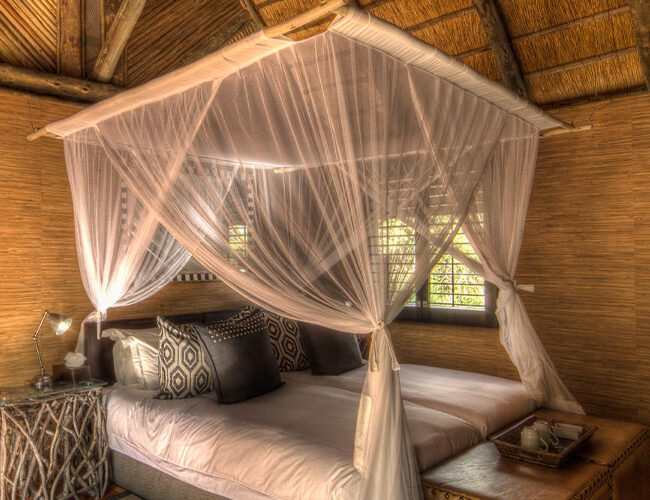 Savute Safari Lodge Botswana